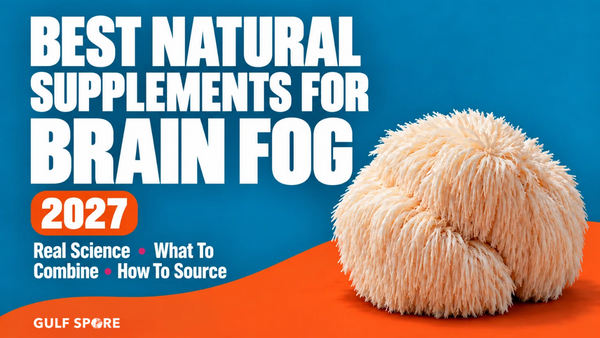 Best Natural Supplements for Brain Fog in 2027: Real Science Without the Hype