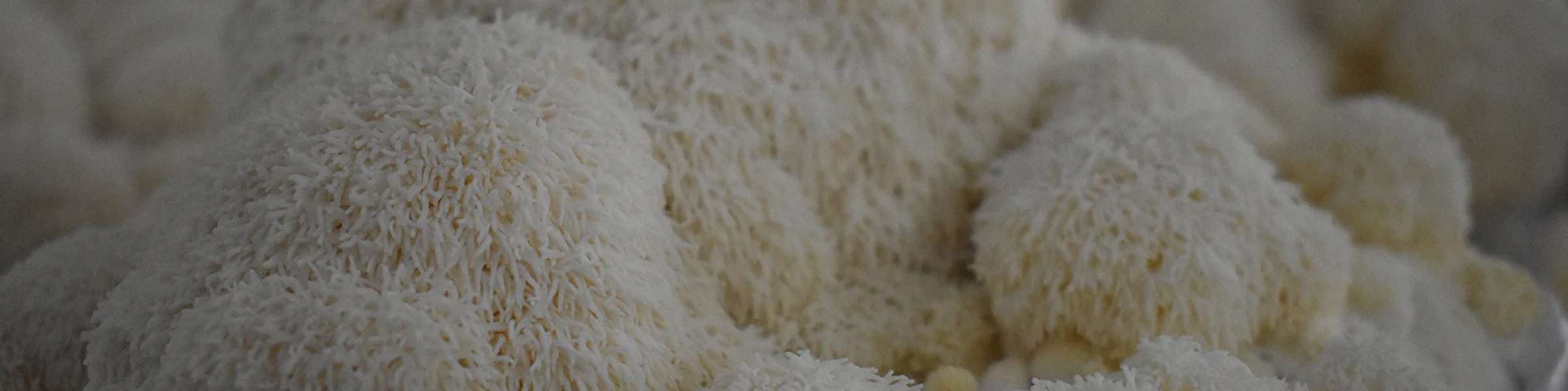 files/image_15_1c0e10c6-4a5a-44aa-ad72-3927121dff25.png