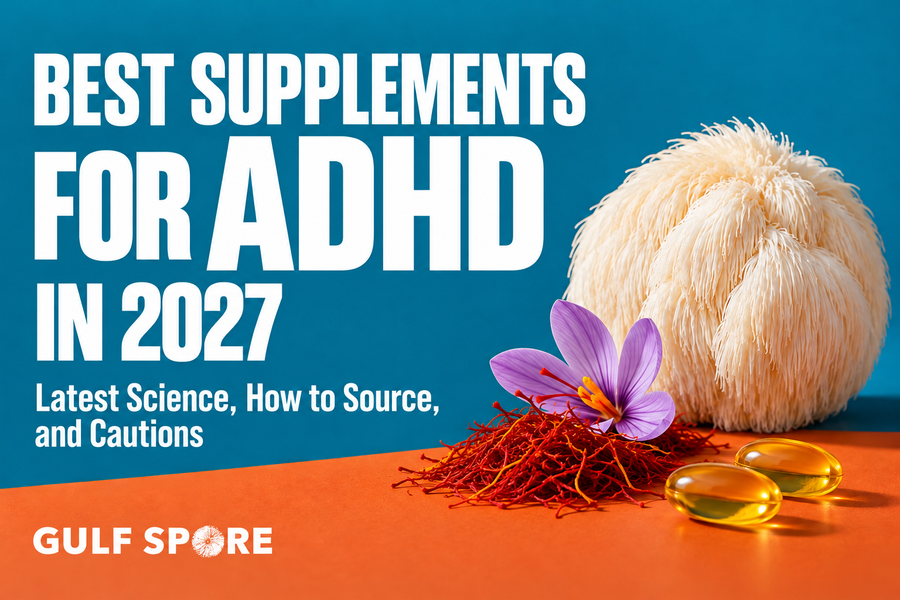 Best Supplements for ADHD in 2027: Latest Science, Sourcing Wisely, and Cautions