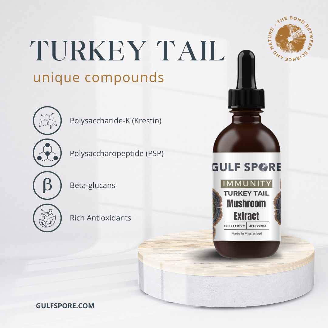 {"preload" => false, "height" => 1080.0, "width" => "1080", "class" => " image-element", "loading" => "lazy", "alt" => "Buy turkey tail mushroom extract – An approved cancer treatment in japan", "sizes" => "33vw", "widths" => "360, 540, 720, 900, 1080", "itemprop" => nil, "role" => nil, "aria-hidden" => nil, "style" => nil}