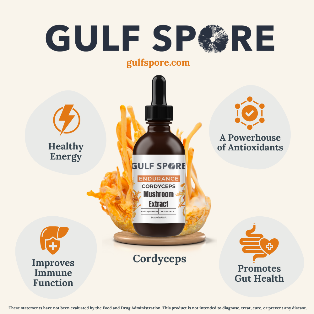 Cordyceps