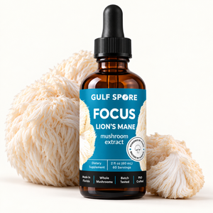 Lion’s Mane FOCUS
