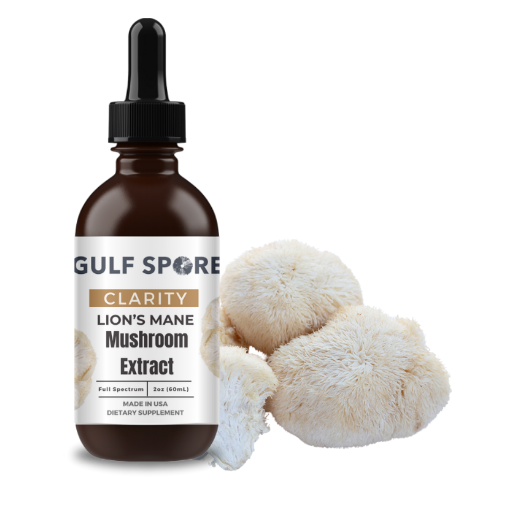 Your Quiz Result: Lion's Mane