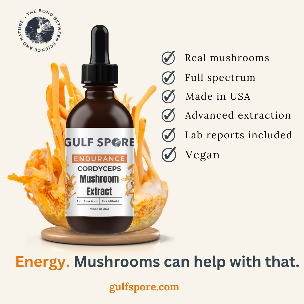 Cordyceps