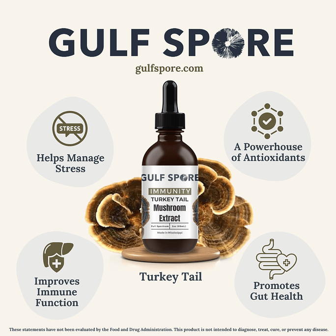 Turkey Tail