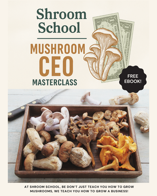 SHROOM SCHOOL™